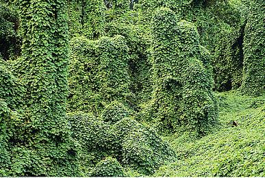 《原神》新角色申鹤和云堇公布 立绘惊艳吸睛！